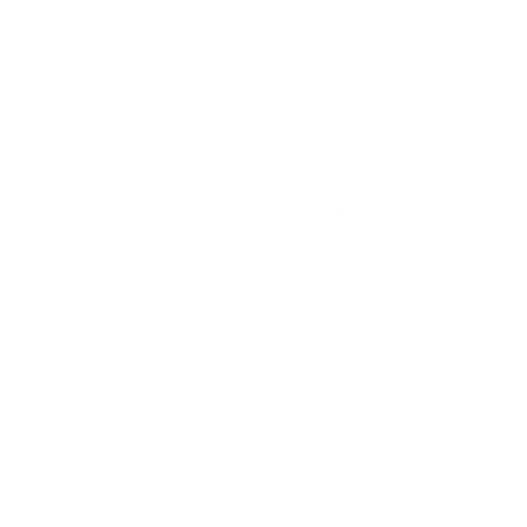 Ellingsen Group